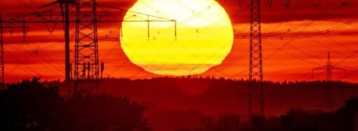 Climate change fuels spread of dangerous Aspergillus fungus