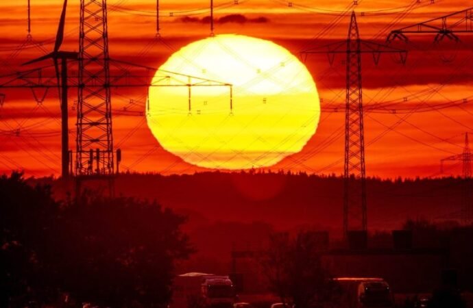 Climate change fuels spread of dangerous Aspergillus fungus