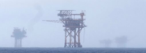 Gulf drilling granted reprieve from wildlife protection law