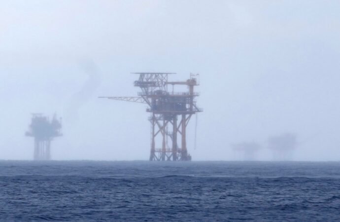 Gulf drilling granted reprieve from wildlife protection law