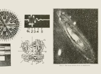 Search Page Template