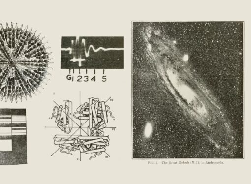 From the first telephone to videoconferencing in 100 years