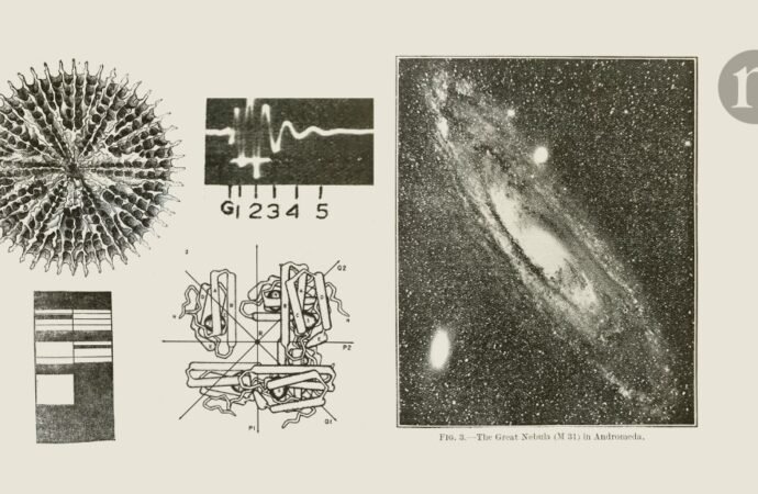 From the first telephone to videoconferencing in 100 years