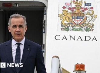 Search Page Template