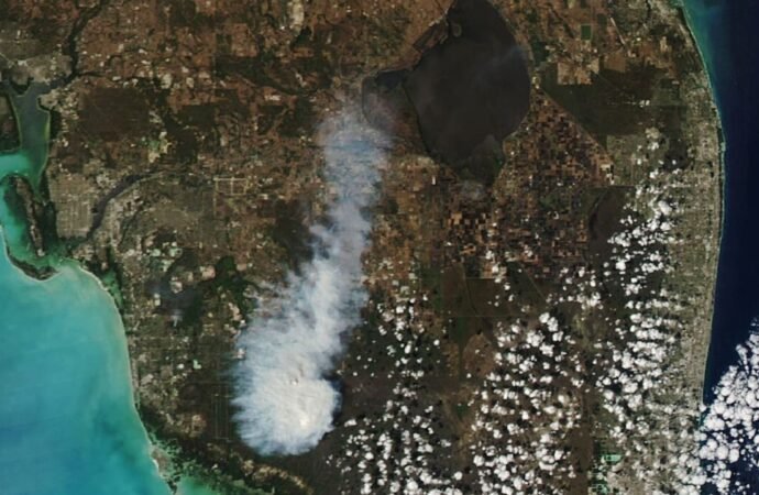 Smoke Rises Over Big Cypress National Preserve