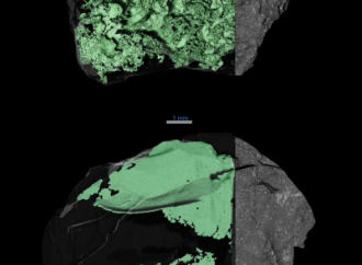 Solving Asteroid Bennu’s Mysteries – NASA