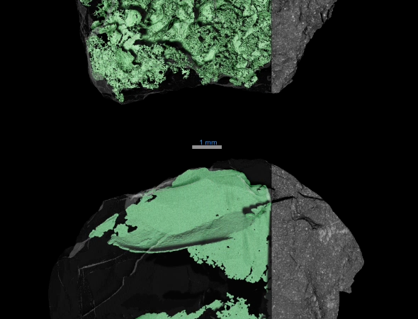 Solving Asteroid Bennu’s Mysteries – NASA