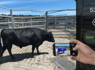 Kiwi agritech startup Scanabull looks to disrupt the beef industry with AI-powered 3D cattle weighing