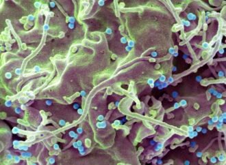 A new one-a-day-pill holds promise for HIV's 'forgotten population'