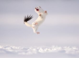 A celebration of Earth Day through the images of the best environmental photographers