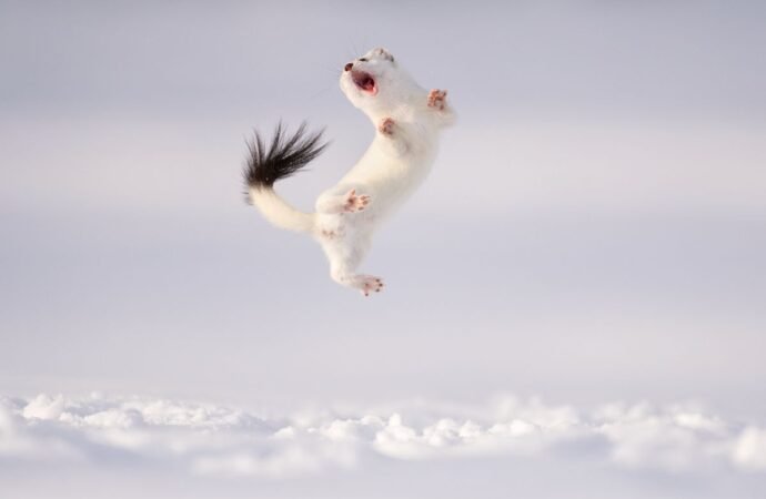 A celebration of Earth Day through the images of the best environmental photographers