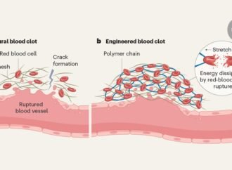 Engineered blood clots stop bleeding in seconds