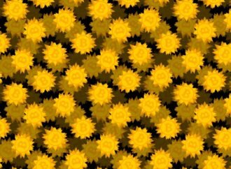 De-fi platform Drift suspends deposits and withdrawals after millions in crypto stolen in hack