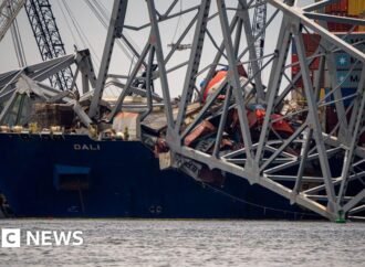 Dali ship operator charged over deadly  Baltimore bridge collapse