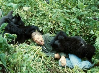 Celebrating David Attenborough at 100