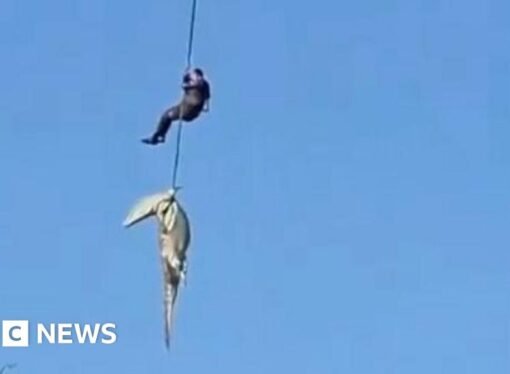 South African police officer lowered into crocodile-infested river to recover human remains