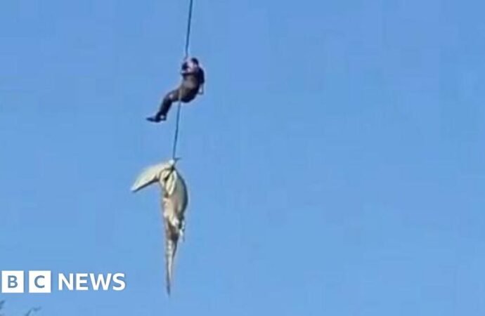 South African police officer lowered into crocodile-infested river to recover human remains