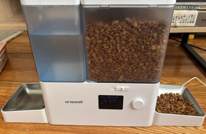These 11 Automatic Cat Feeders Were the Best We Tested in 2026