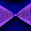 Shark lasers could help save vulnerable species