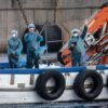 Hantavirus outbreak exposes uncertainty about how disease spreads