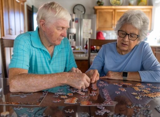 Immune cells in the blood drive cognitive ageing — blocking them improves memory