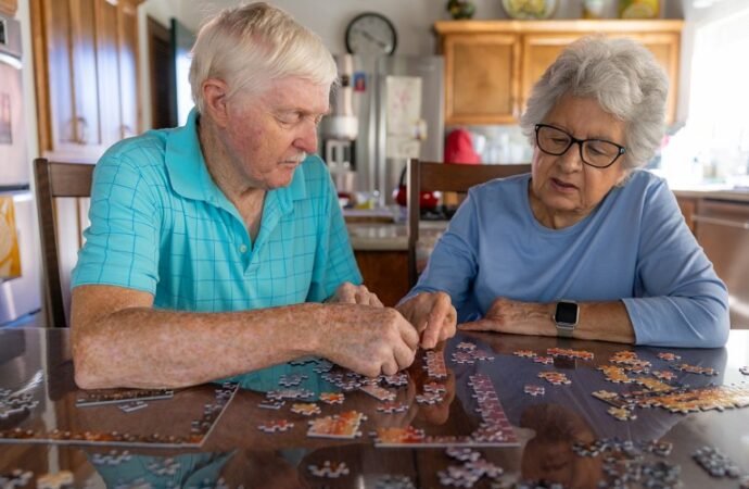 Immune cells in the blood drive cognitive ageing — blocking them improves memory