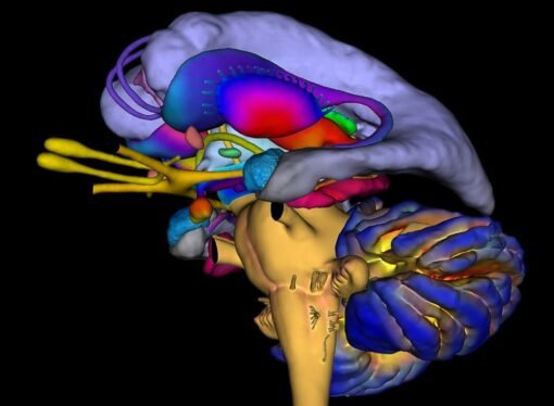 Stress impairs your brain’s ability to link memories — dampening insight