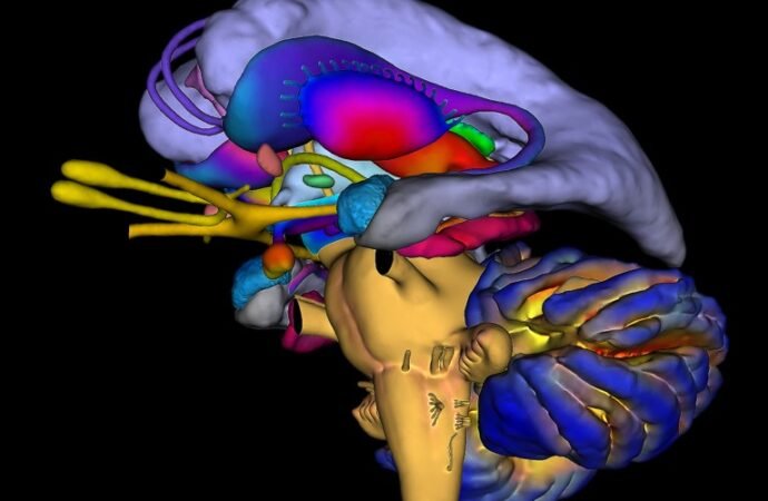 Stress impairs your brain’s ability to link memories — dampening insight