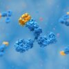 Science sleuths uncover more than 100 suspicious images in Thermo Fisher antibody catalogue
