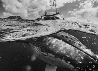 11 captivating images from the Exposure One Photography Awards