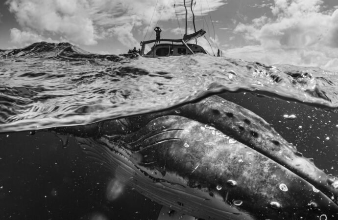 11 captivating images from the Exposure One Photography Awards