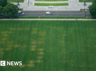Police investigate '8647' written in grass on US national mall