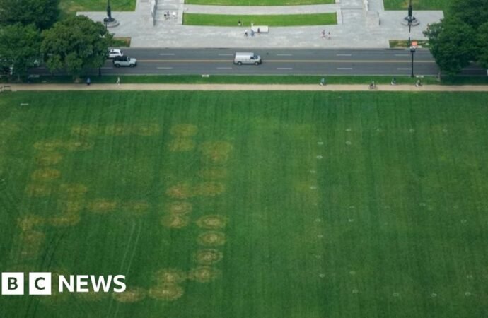 Police investigate '8647' written in grass on US national mall