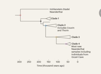 Genomic insights into the population dynamics and demise of Neanderthals