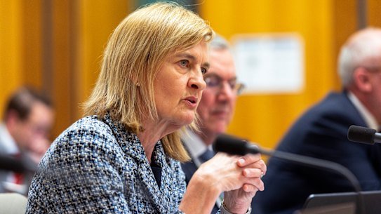 Sarah Court at a recent parliamentary hearing.