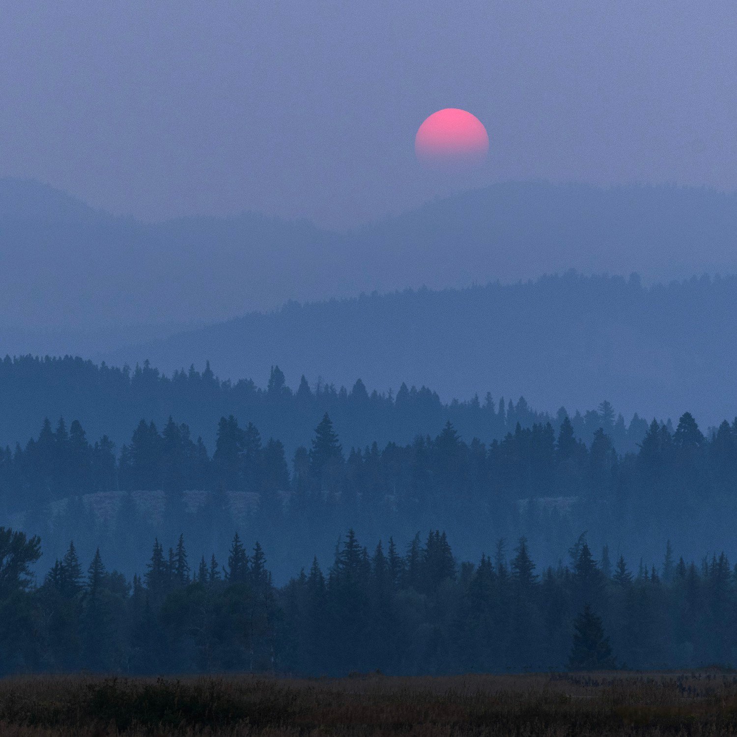 a red sun over a smoke-covered forest