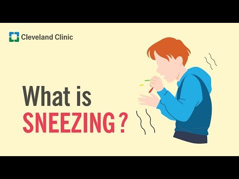 What is sneezing? thumbnail