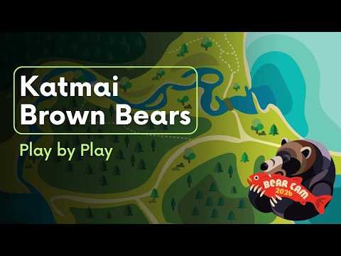 806 Cub Attack Breakdown 7.28.26 | Brooks Live Chat Thumbnail