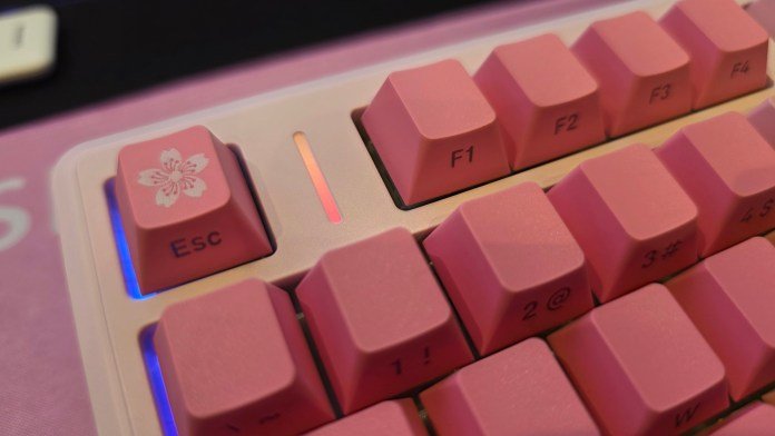 Close-up of the Esc key on the keyboard showing the small RGB strip next to the key.