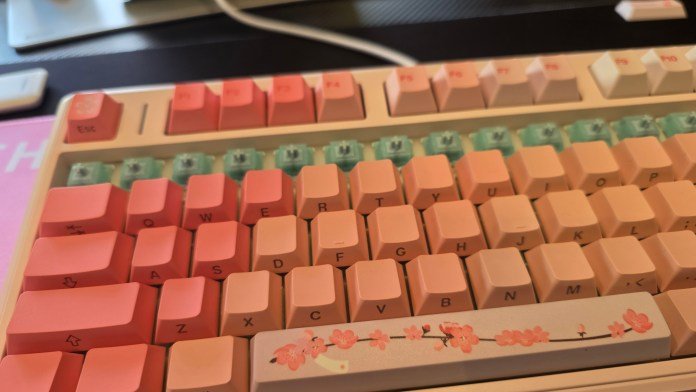 The top row of numbers on the keyboard is missing keys, showing the switches below and how you can customize the switches and/or keys.