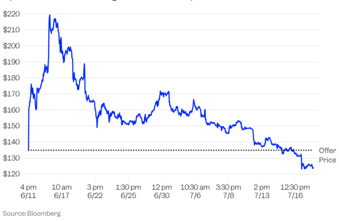 3 Statistics That Explain SpaceX’s Stock Price Drop After Historic IPO