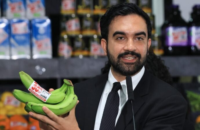 30% Savings and a Private Label in New York: What You Need to Know About Mamdani’s City-Owned Grocery Stores