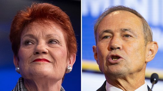 Pauline Hanson, leader of One Nation, and Roger Cook, prime minister of Washington. Images: Getty Images/Ross Swanborough