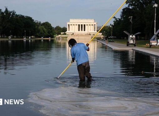 Former Olympian David hearn indicted for allegedly vandalising reflecting pool