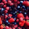 A Preventative Neurologist Shares 3 Simple Habits She Follows to Help Reduce Your Risk of Alzheimer’s