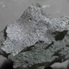 A meteorite crashed into a house in New Jersey in 2024. Inside were the basic components of life.