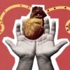 A new proposal for organ donation raises concern