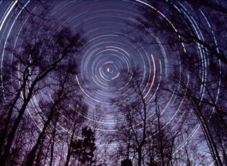 AI’s New North Star: Intelligence Per Dollar