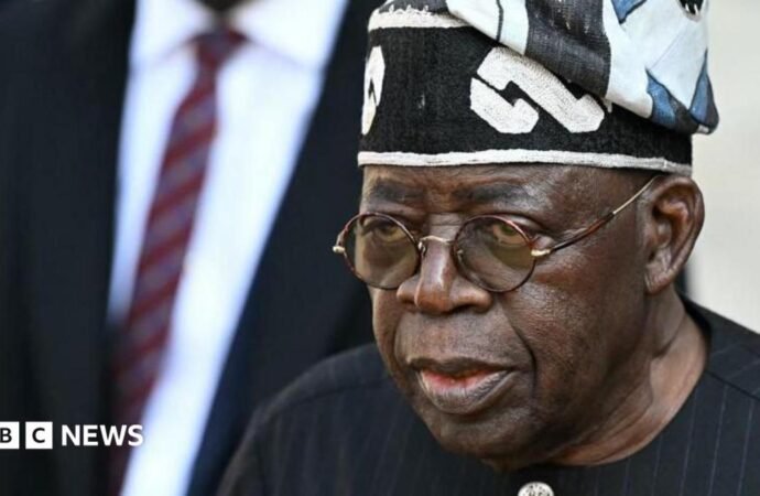 Adeniyi Adeyemi: Nigerian President Bola Tinubu orders investigation into alleged fake agency