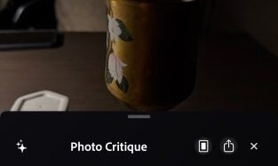 Adobe’s new camera app feature will critique your photos using AI | TechCrunch